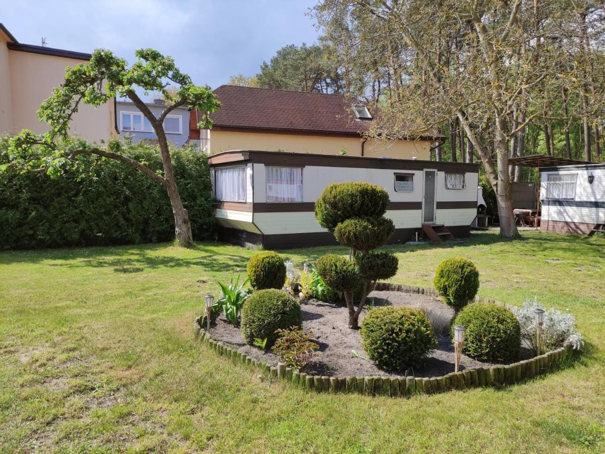 Villa Joanna ミエンジズドロイェ エクステリア 写真