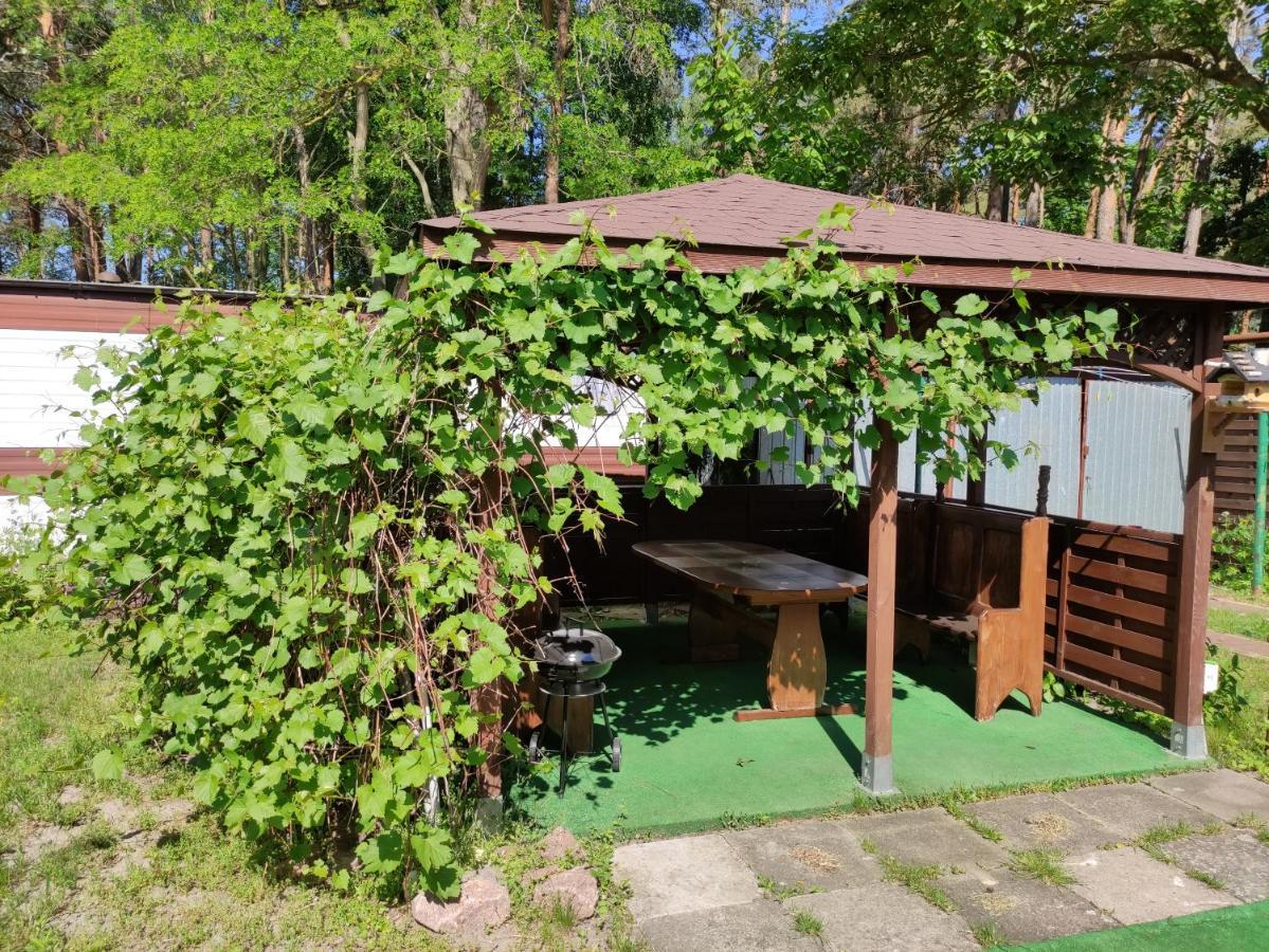 Villa Joanna ミエンジズドロイェ エクステリア 写真